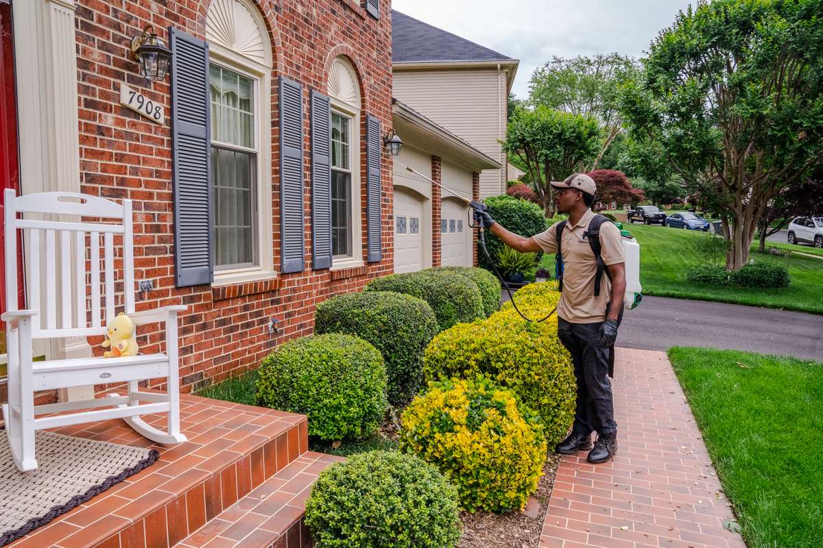 Pest control professional treating a home