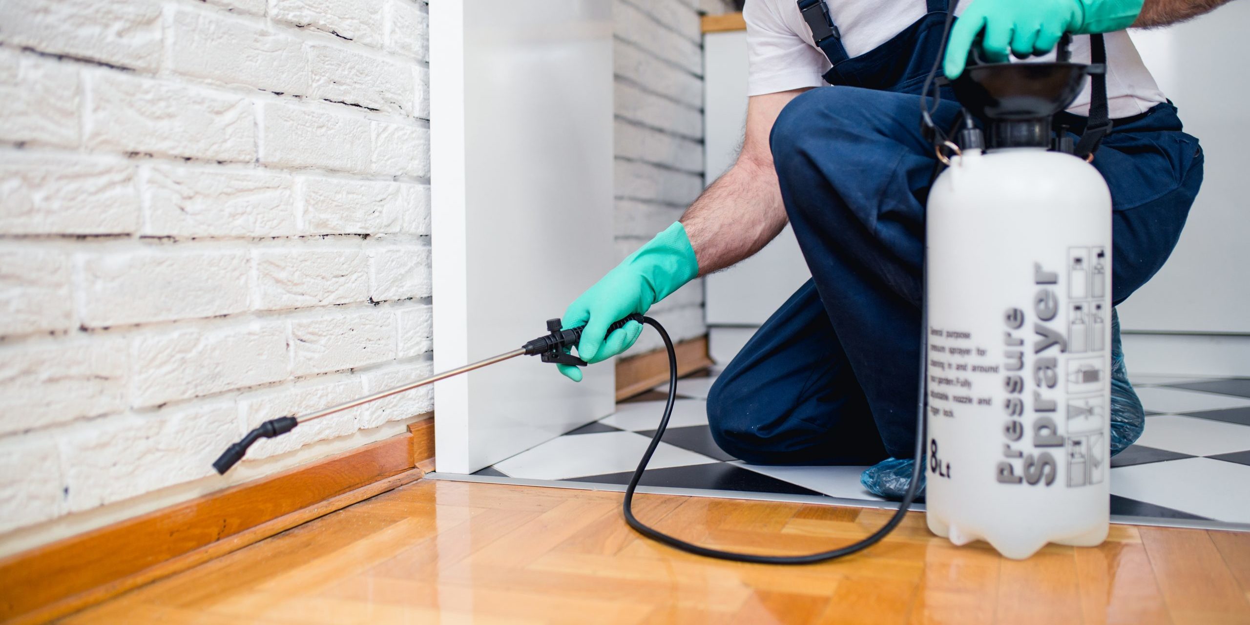 Residential Pest Control
